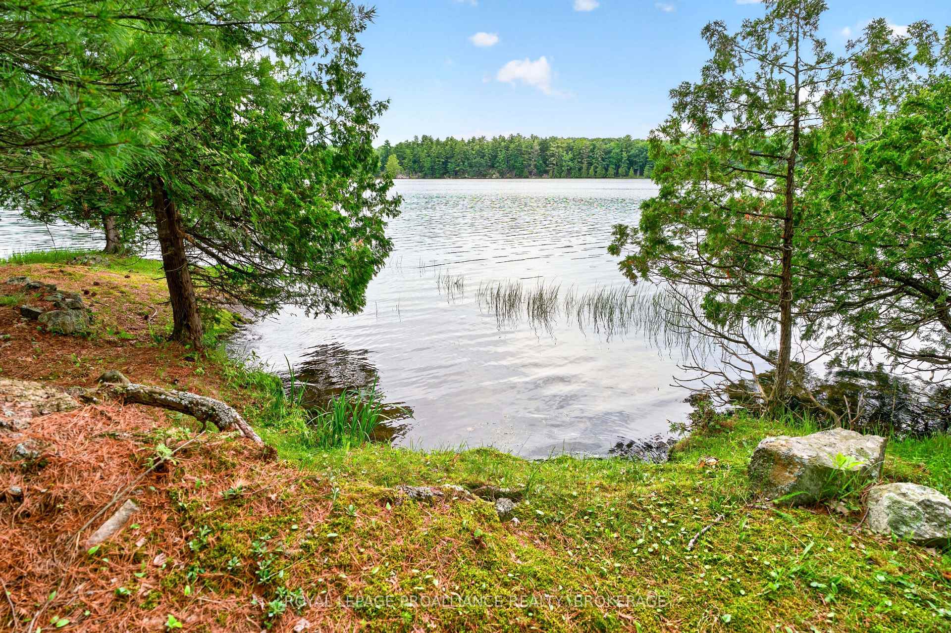 Photo 8 of 3 Scott Island, Rideau Lakes, Rideau Lakes (South Crosby) Twp — HOMEH