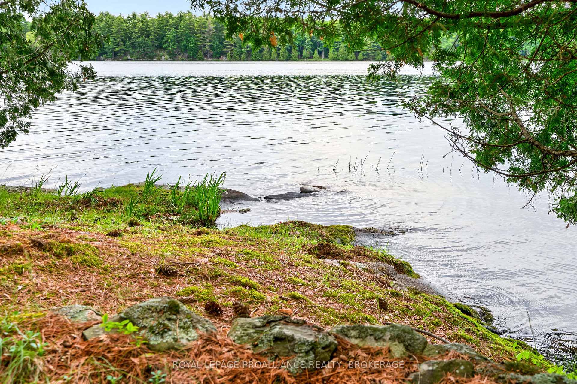 Photo 10 of 3 Scott Island, Rideau Lakes, Rideau Lakes (South Crosby) Twp — HOMEH