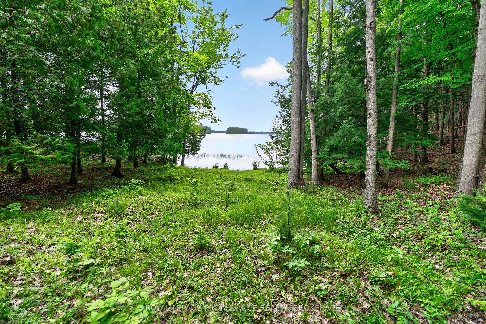 Photo 47 of 3 Scott Island, Rideau Lakes, Rideau Lakes (South Crosby) Twp — HOMEH