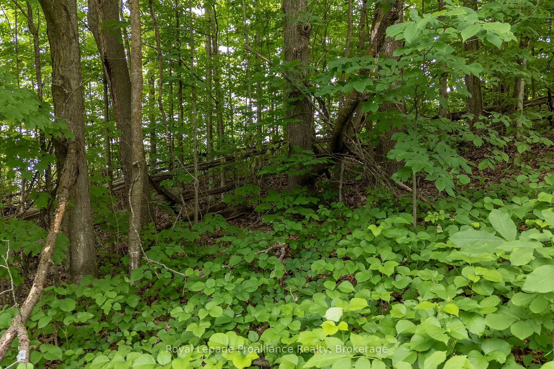 Photo 6 of 5035 Blessington Road, Tyendinaga, Tyendinaga Township — HOMEH