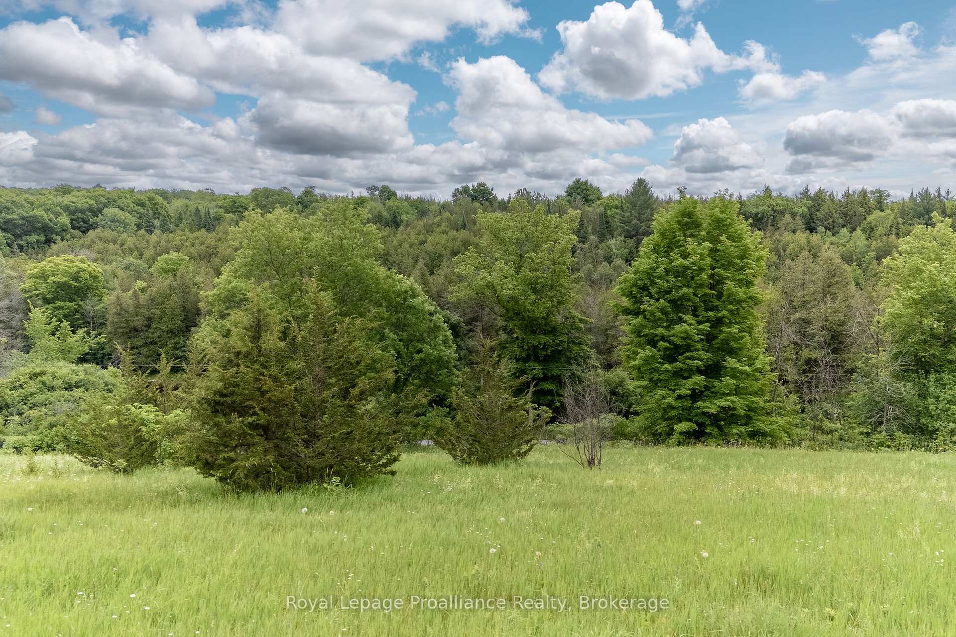 Photo 12 of 5035 Blessington Road, Tyendinaga, Tyendinaga Township — HOMEH