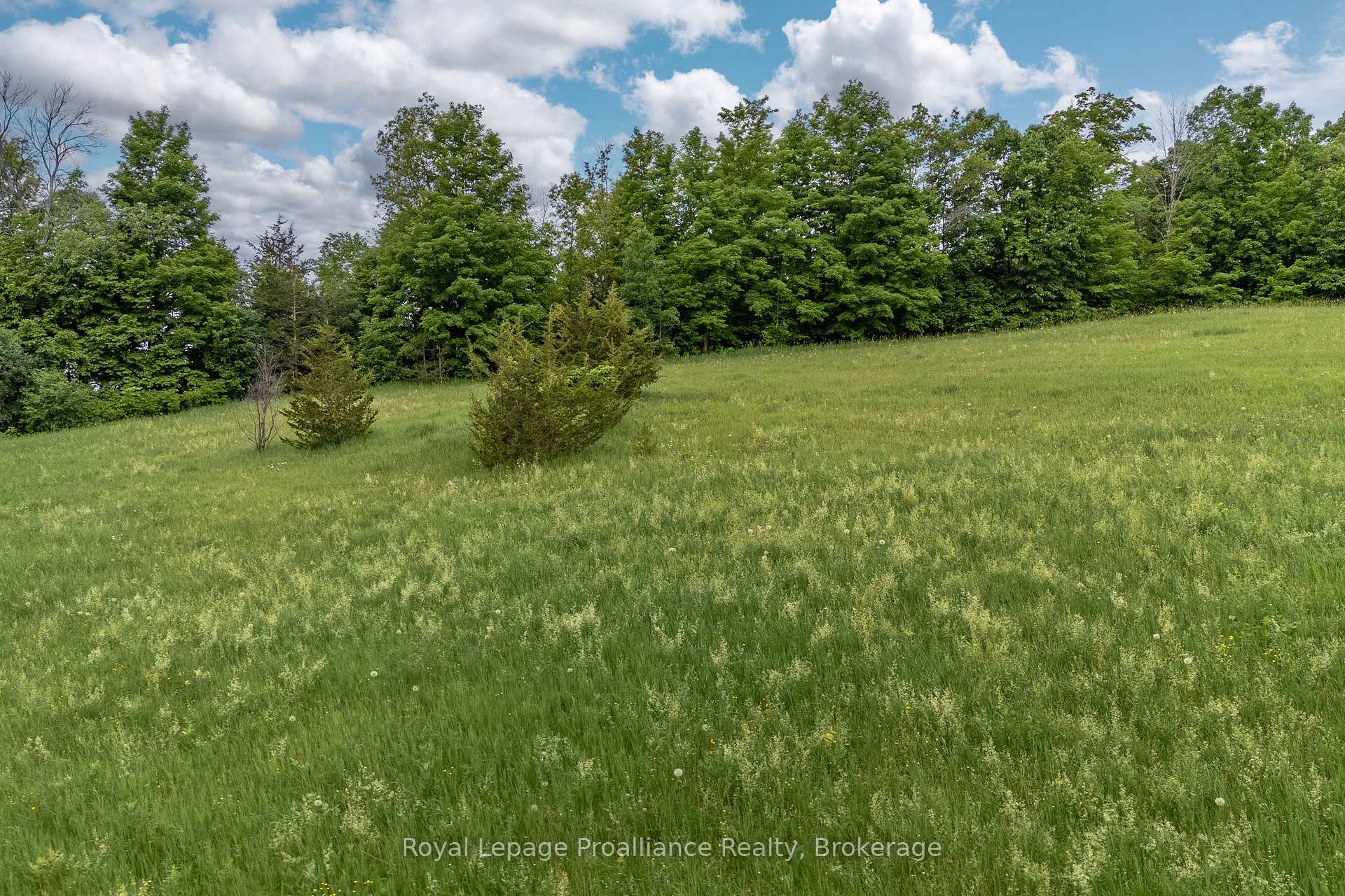 Photo 13 of 5035 Blessington Road, Tyendinaga, Tyendinaga Township — HOMEH