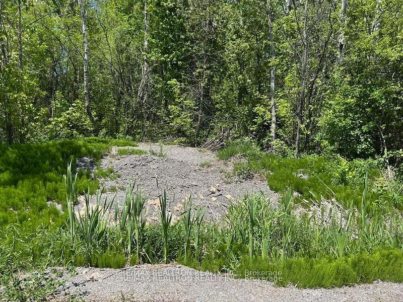 Photo 6 of Ptlt 11 Concession 14 Road, Brock, Rural Brock — HOMEH