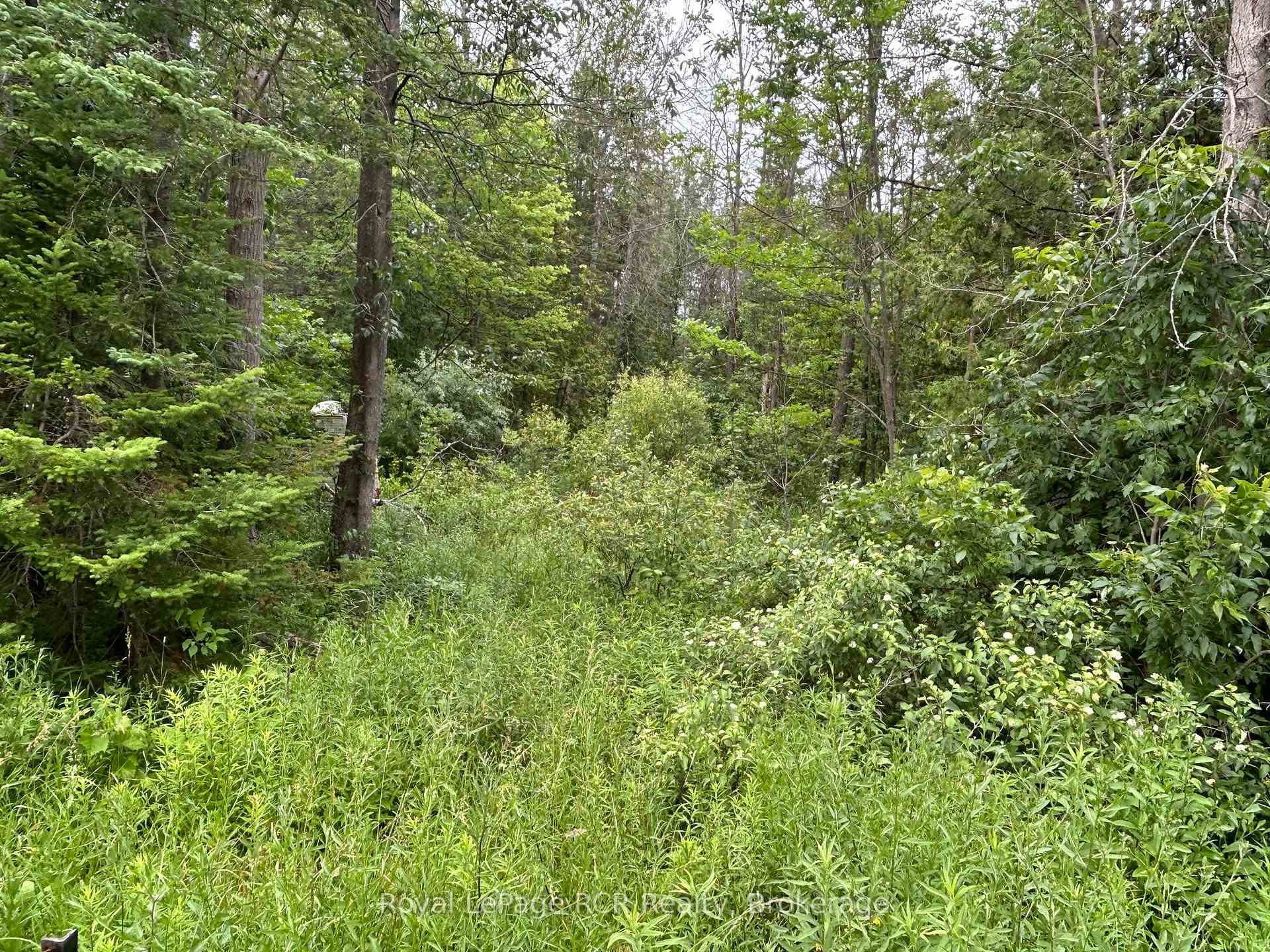 Front of part Lot 2 conc 17 Road
