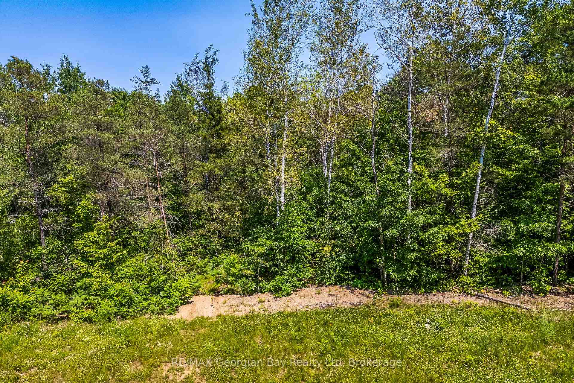 Photo 5 of Lot 71 Whispering Pine Circle, Tiny, Rural Tiny — HOMEH