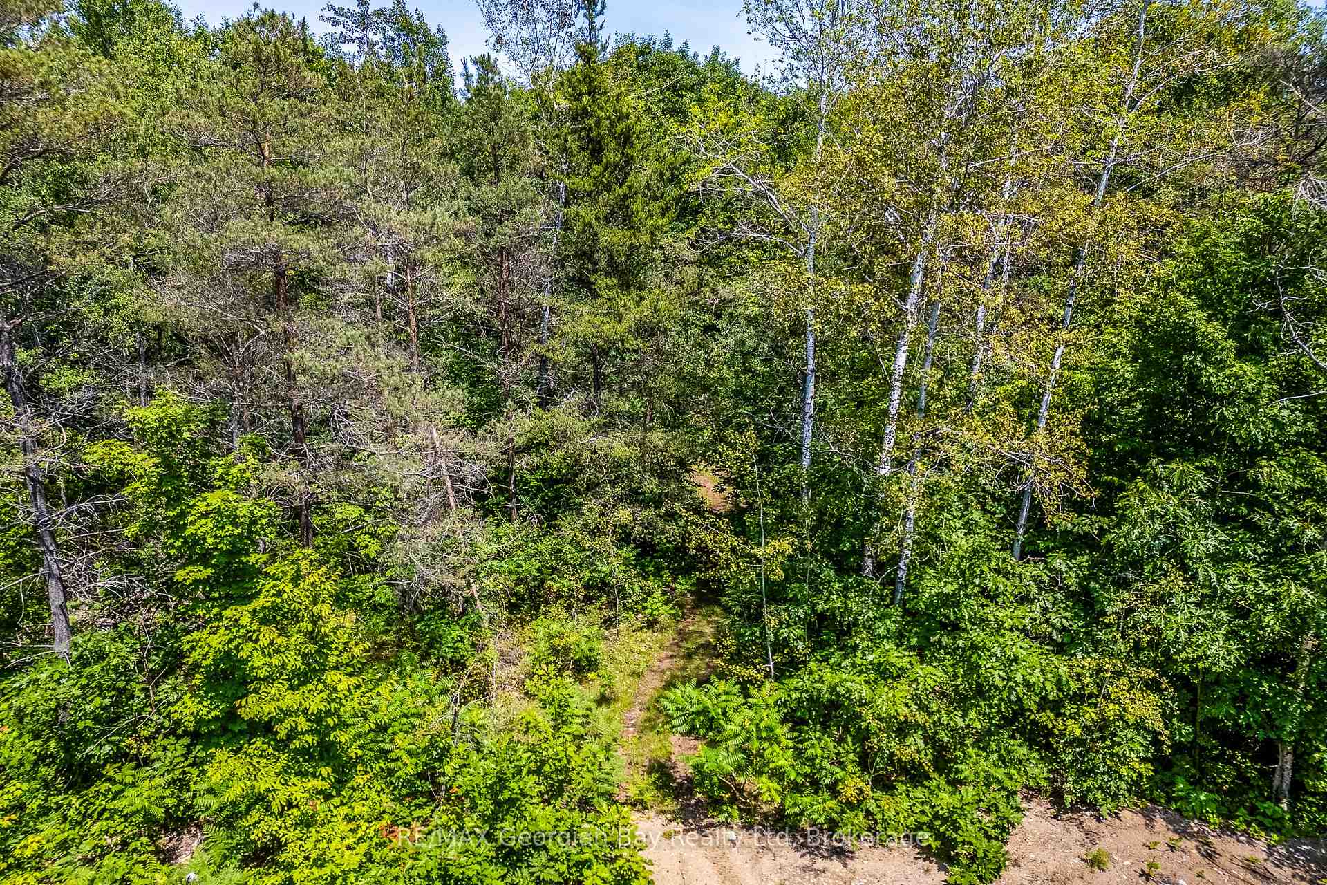 Photo 7 of Lot 71 Whispering Pine Circle, Tiny, Rural Tiny — HOMEH