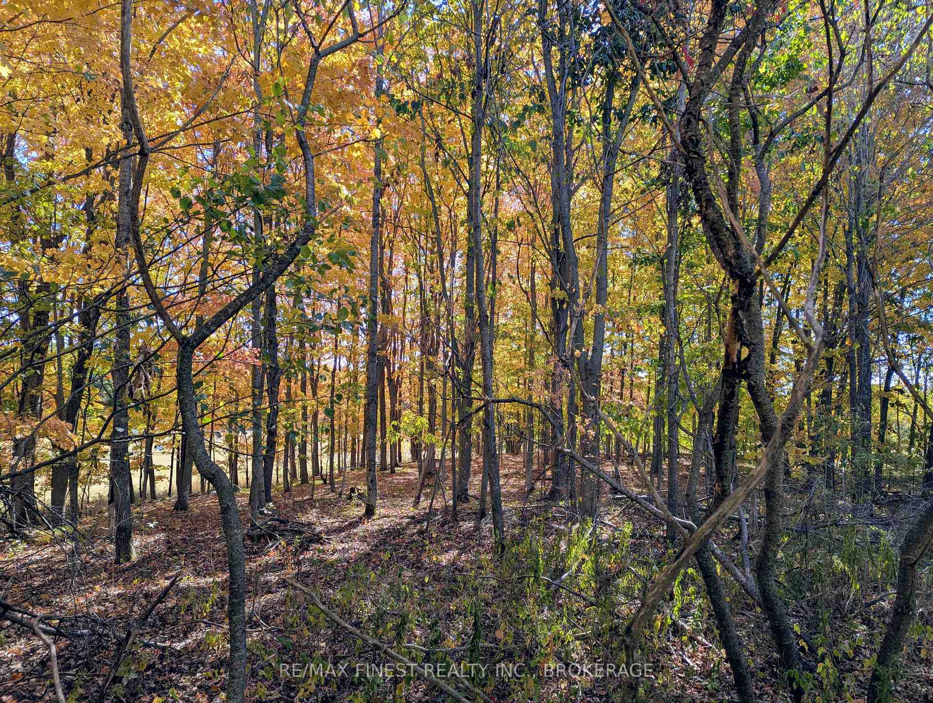 Photo 5 of 6224 Battersea Road, Frontenac, Frontenac South — HOMEH