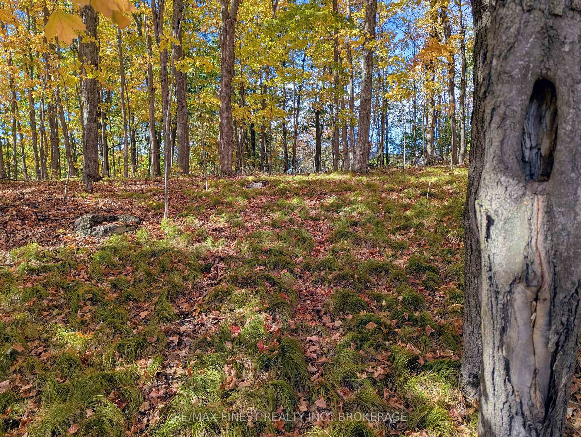 Photo 6 of 6224 Battersea Road, Frontenac, Frontenac South — HOMEH