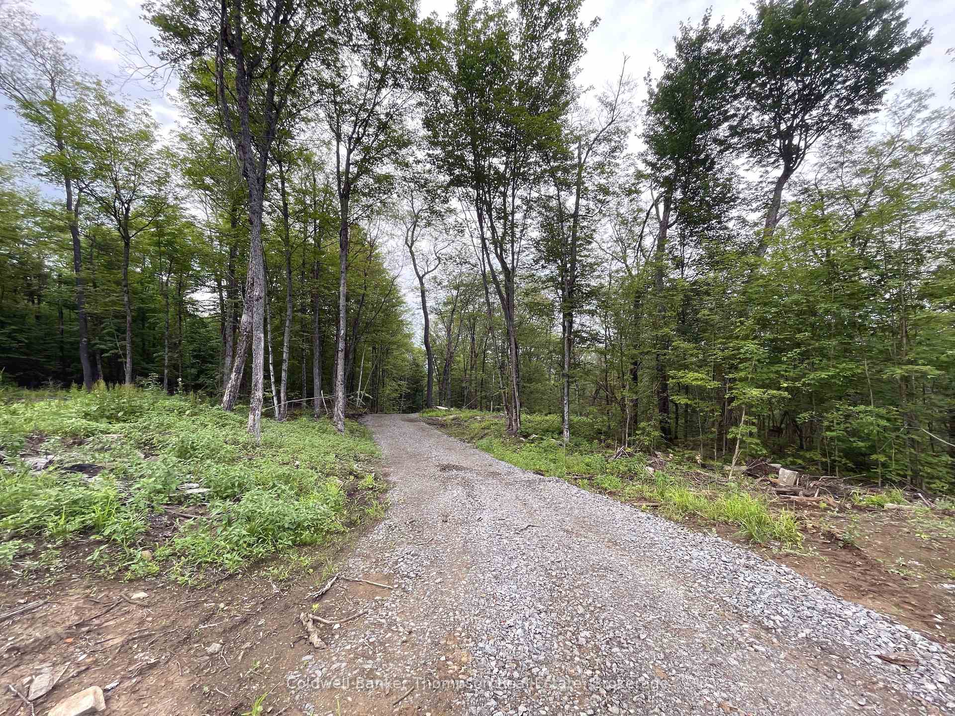 Photo 44 of LT16CON2 River Road, Parry Sound Remote Area, Laurier — HOMEH