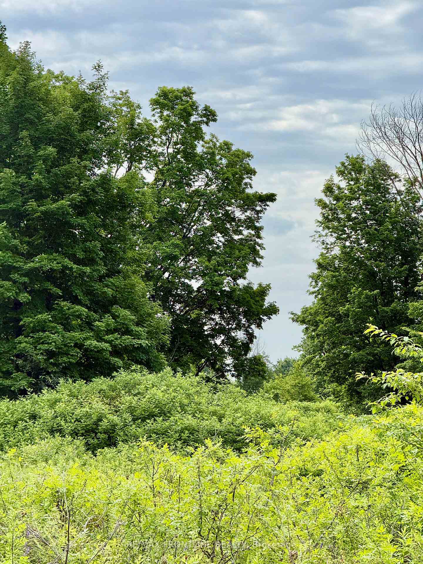 Photo 4 of 769 Ennis Road, Tay Valley, Bathurst/Burgess & Sherbrooke (Bathurst) Twp — HOMEH