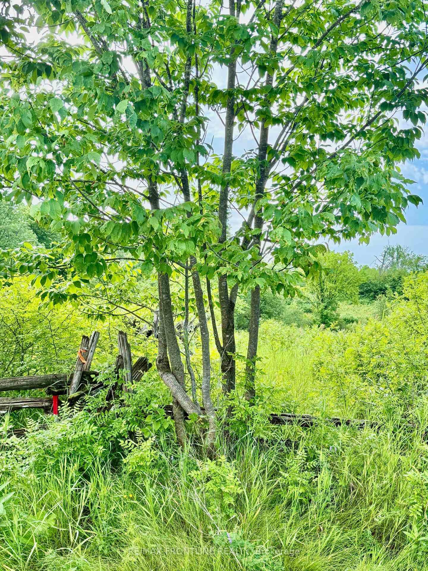 Photo 9 of 769 Ennis Road, Tay Valley, Bathurst/Burgess & Sherbrooke (Bathurst) Twp — HOMEH
