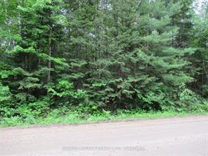 Front of Pt Lt 49 Old MOORE LAKE Road