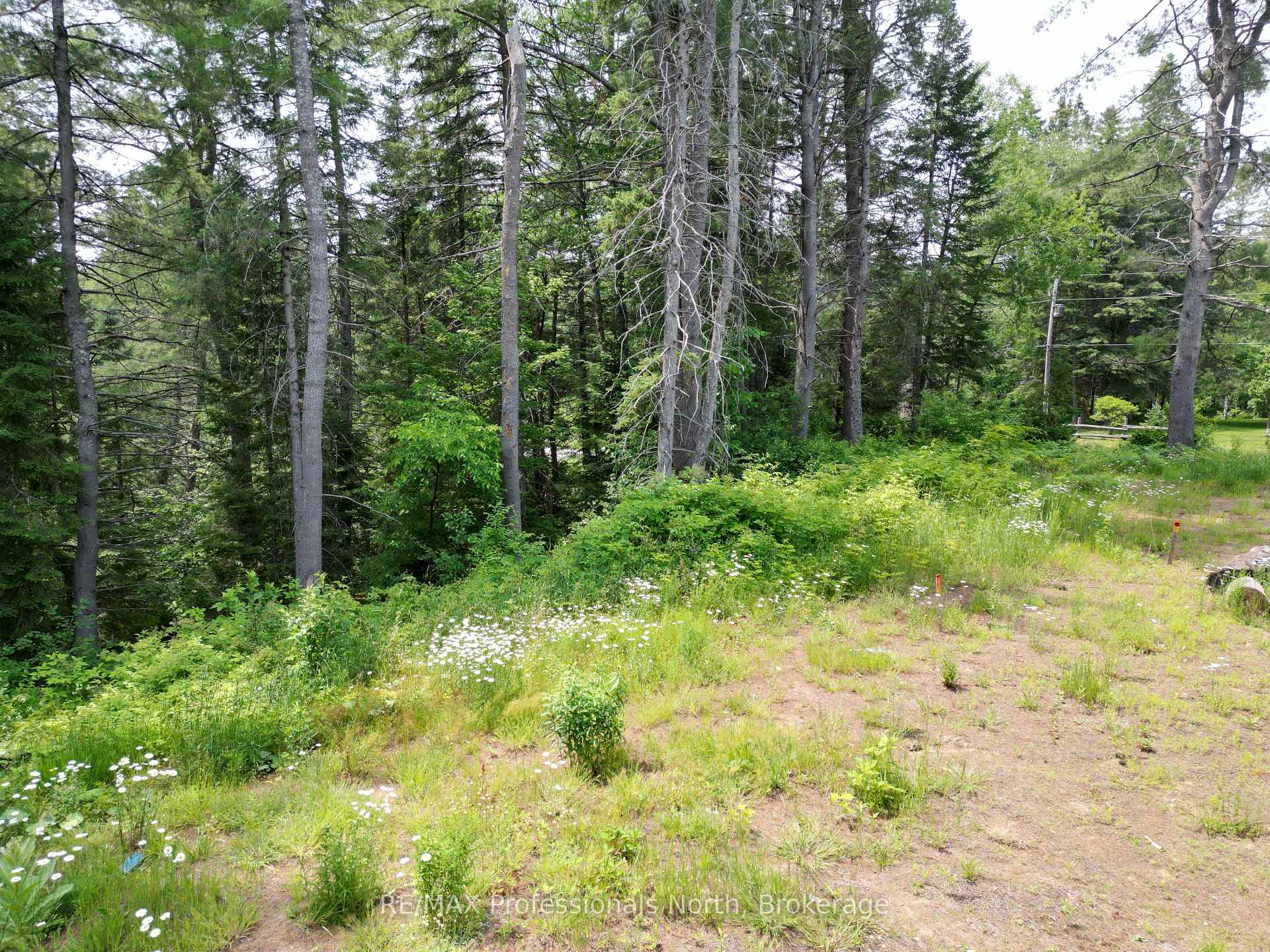 Photo 11 of 1940 Scotch Line Road, Minden Hills, Minden — HOMEH