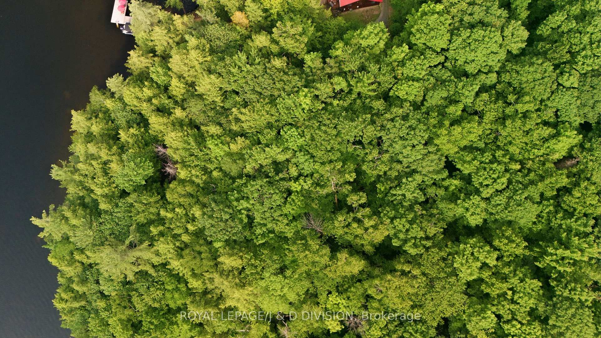 Photo 4 of 188 Blackstone Lake, Water, The Archipelago, Archipelago South — HOMEH
