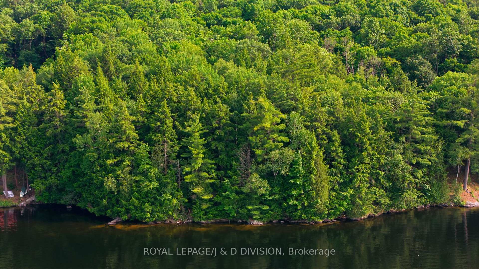 Photo 8 of 188 Blackstone Lake, Water, The Archipelago, Archipelago South — HOMEH