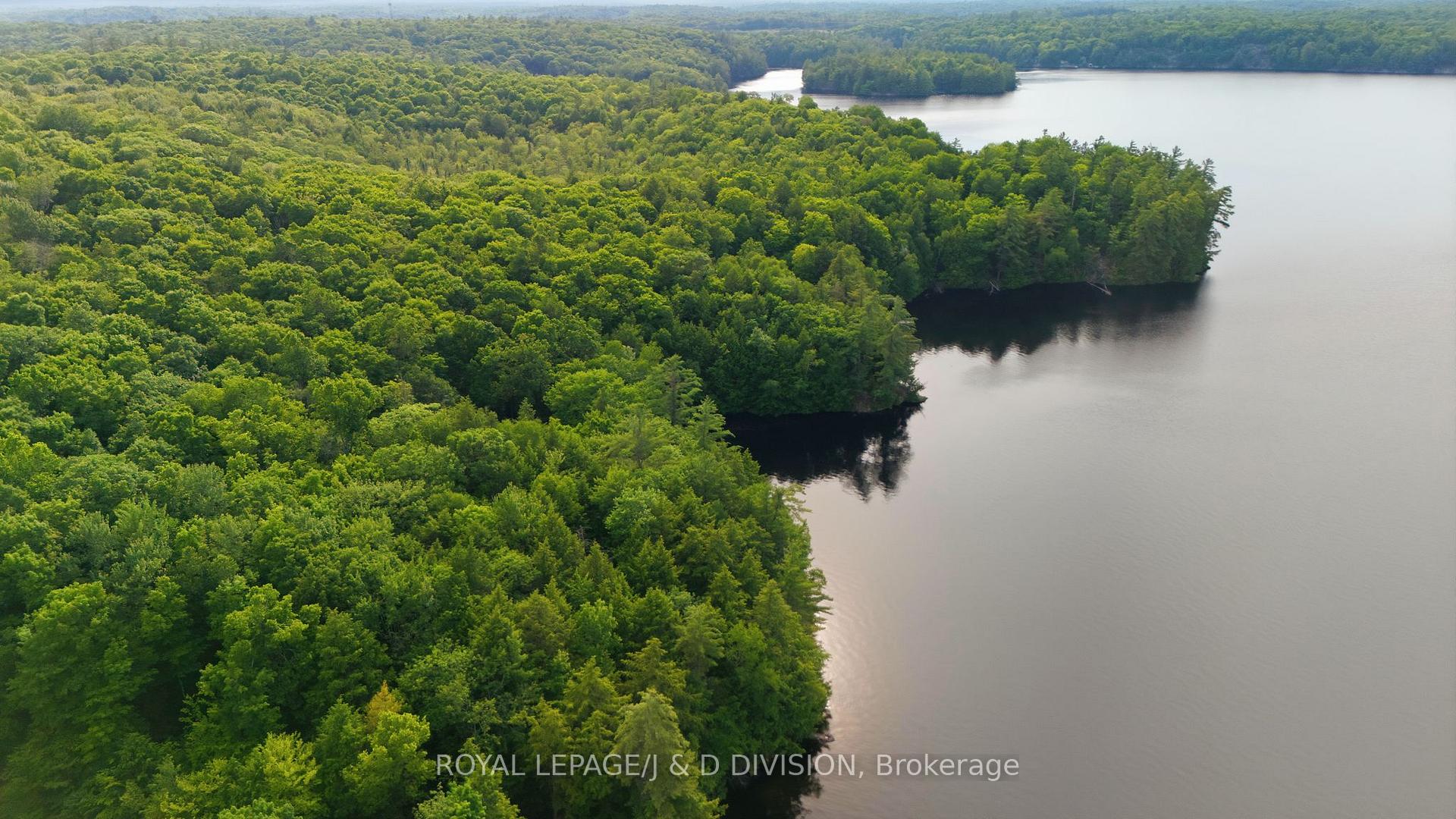Photo 12 of 188 Blackstone Lake, Water, The Archipelago, Archipelago South — HOMEH