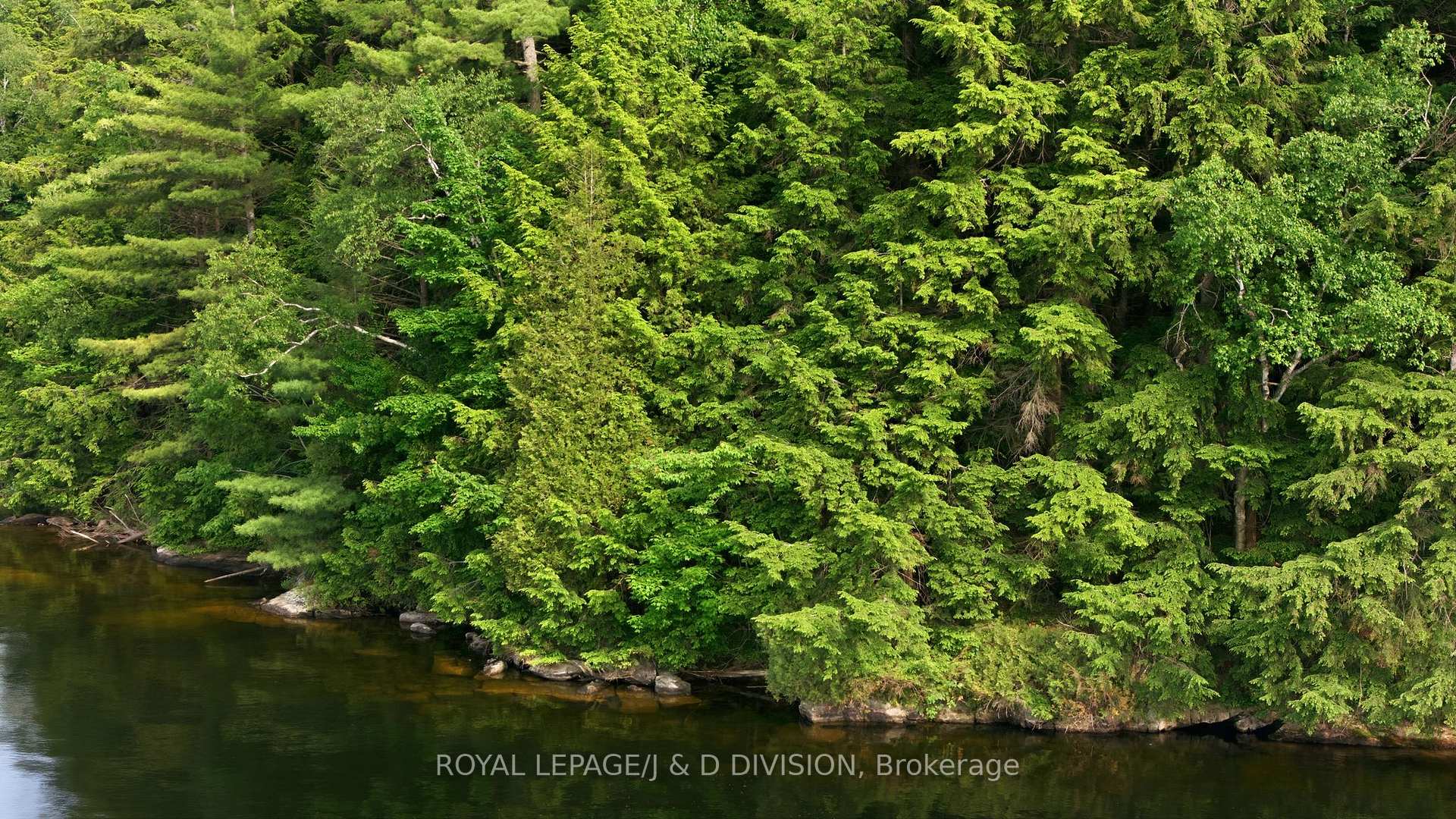 Photo 15 of 188 Blackstone Lake, Water, The Archipelago, Archipelago South — HOMEH