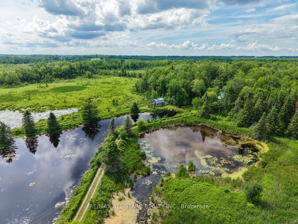Photo 2 of 9388 Ravenshoe Road, Georgina, Baldwin — HOMEH