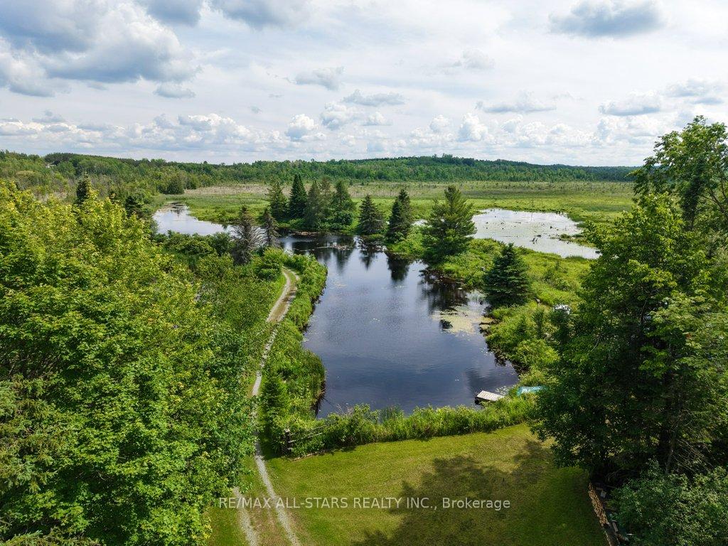 Photo 44 of 9388 Ravenshoe Road, Georgina, Baldwin — HOMEH