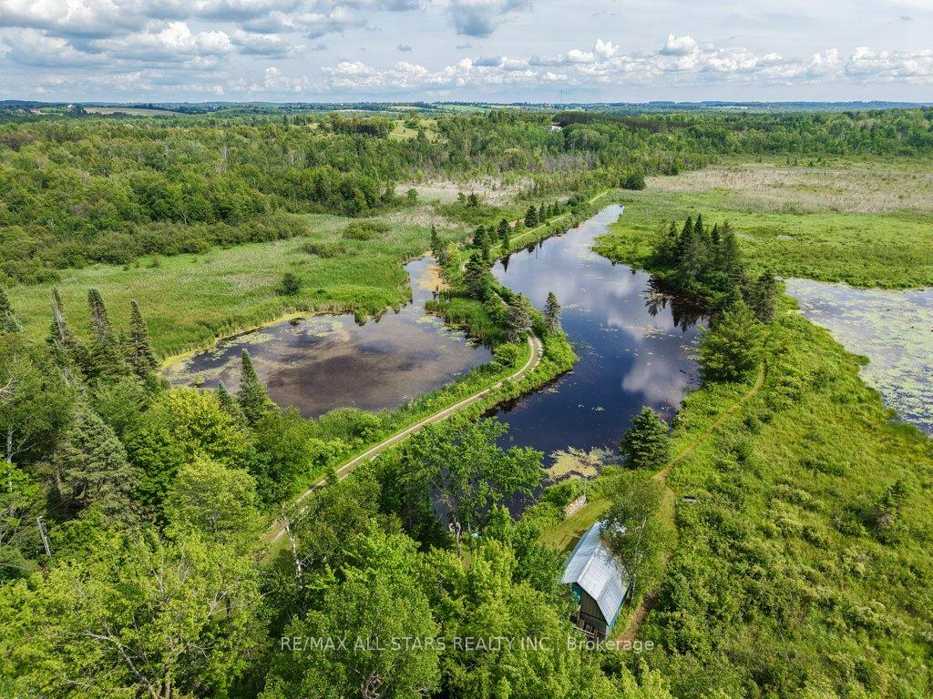 Photo 47 of 9388 Ravenshoe Road, Georgina, Baldwin — HOMEH