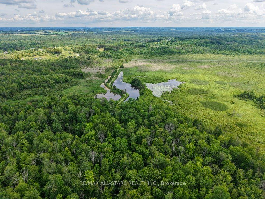 Photo 48 of 9388 Ravenshoe Road, Georgina, Baldwin — HOMEH