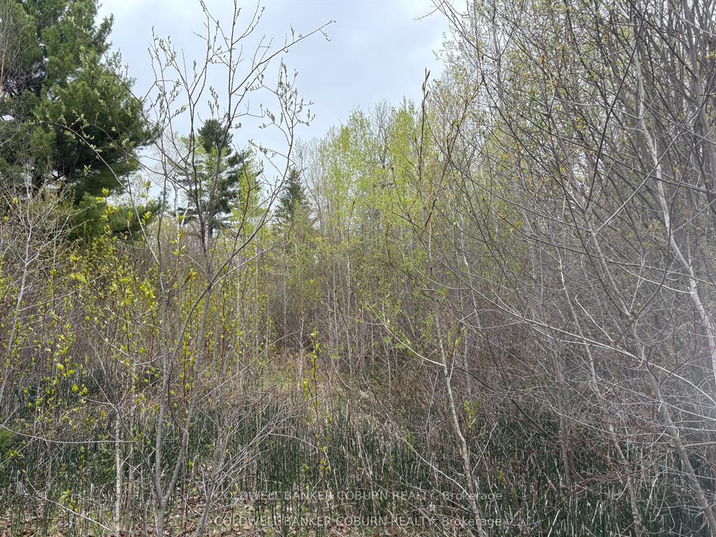 Photo 4 of 2035 Ventnor Road, Edwardsburgh/Cardinal, Edwardsburgh/Cardinal Twp — HOMEH