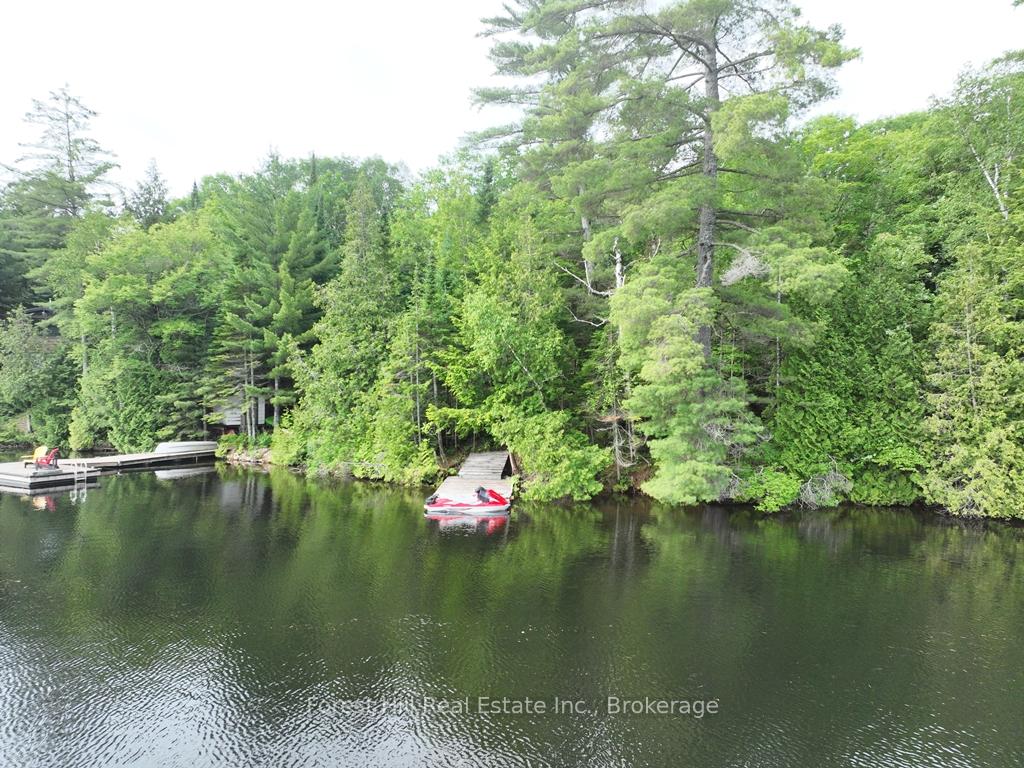 Photo 51 of Bear Lake Road, Algonquin Highlands, Livingstone — HOMEH