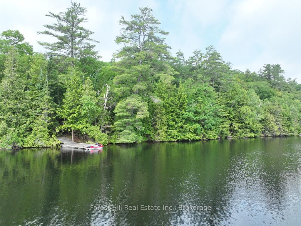 Photo 52 of Bear Lake Road, Algonquin Highlands, Livingstone — HOMEH