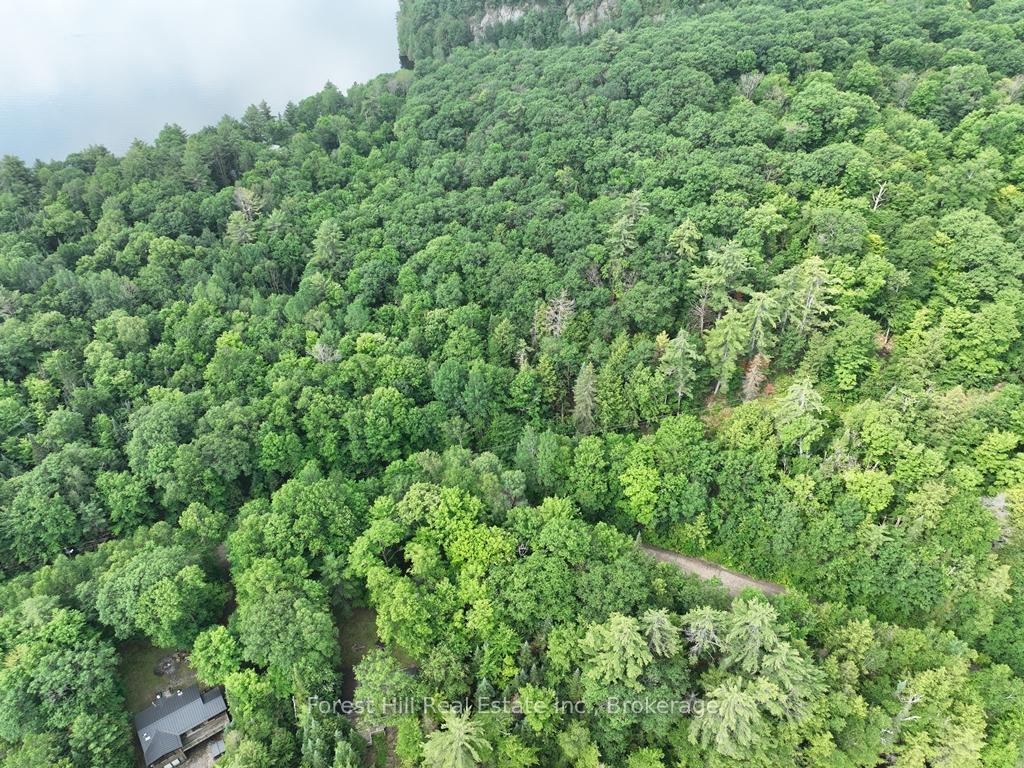 Photo 53 of Bear Lake Road, Algonquin Highlands, Livingstone — HOMEH