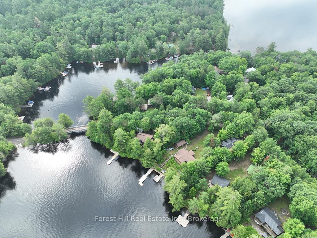 Photo 54 of Bear Lake Road, Algonquin Highlands, Livingstone — HOMEH