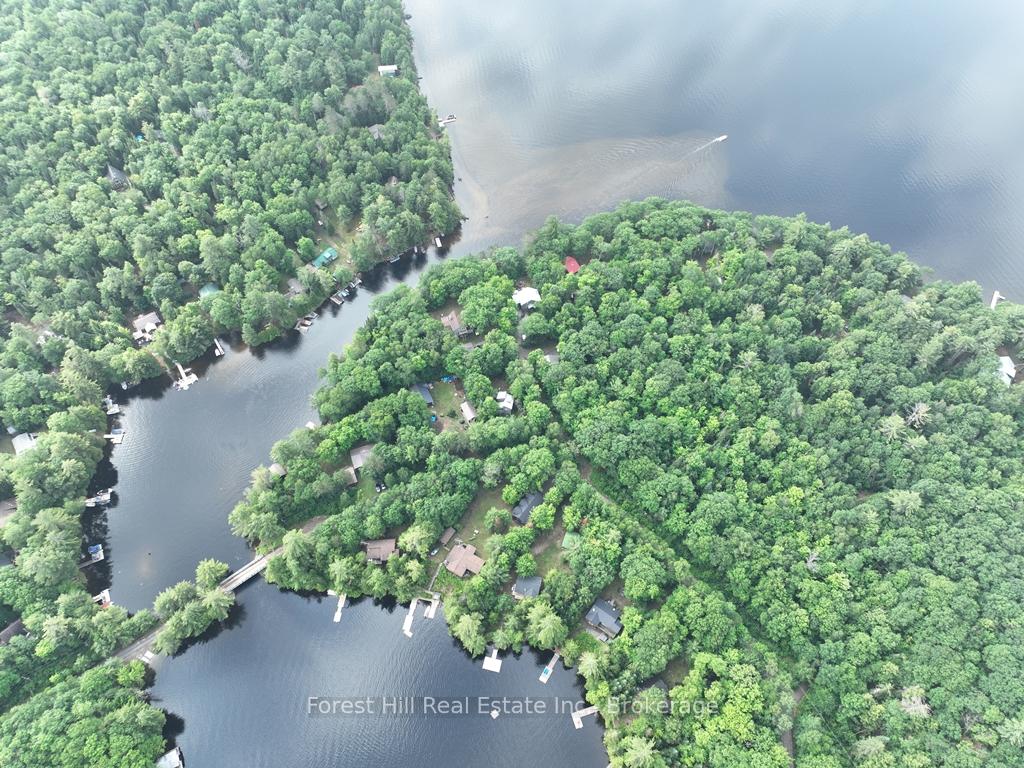 Photo 55 of Bear Lake Road, Algonquin Highlands, Livingstone — HOMEH