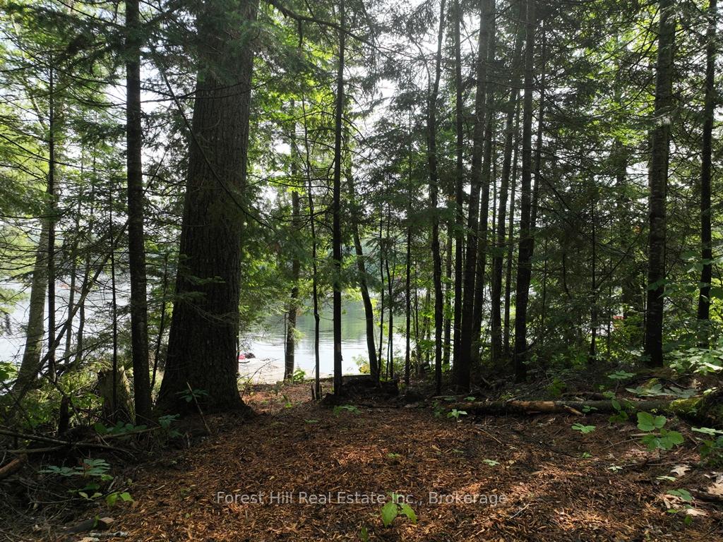 Photo 59 of Bear Lake Road, Algonquin Highlands, Livingstone — HOMEH