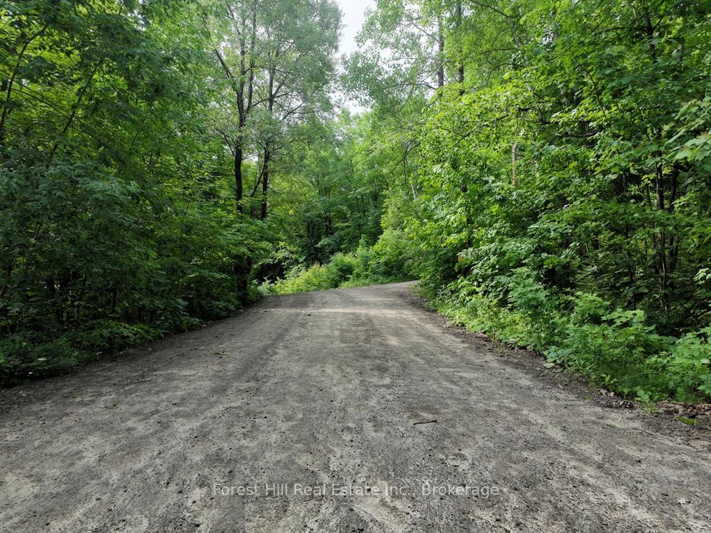 Photo 60 of Bear Lake Road, Algonquin Highlands, Livingstone — HOMEH