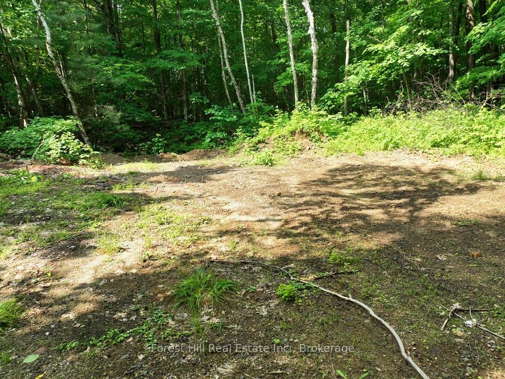 Photo 61 of Bear Lake Road, Algonquin Highlands, Livingstone — HOMEH