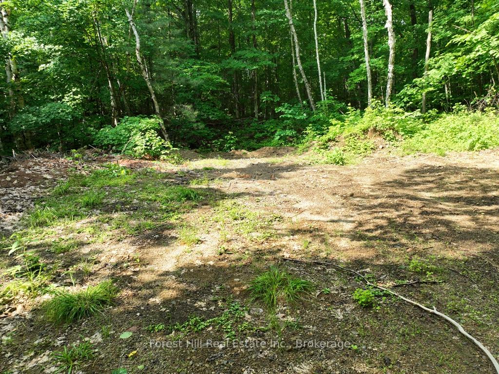 Photo 62 of Bear Lake Road, Algonquin Highlands, Livingstone — HOMEH