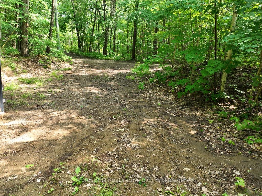 Photo 63 of Bear Lake Road, Algonquin Highlands, Livingstone — HOMEH