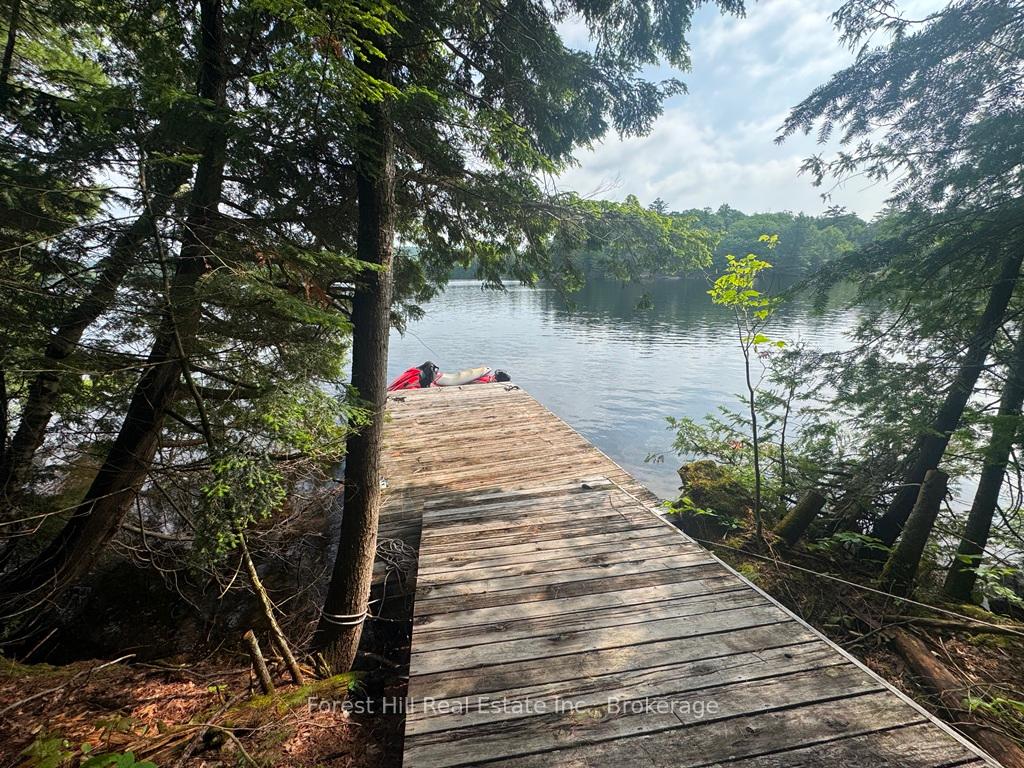 Photo 66 of Bear Lake Road, Algonquin Highlands, Livingstone — HOMEH