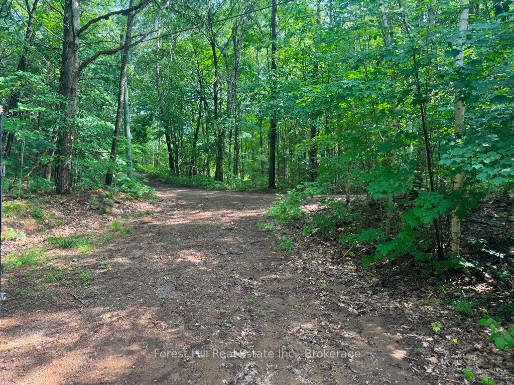 Photo 68 of Bear Lake Road, Algonquin Highlands, Livingstone — HOMEH