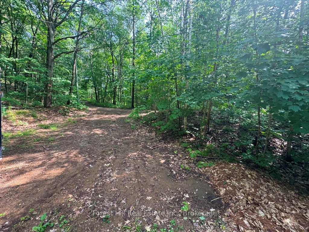 Photo 69 of Bear Lake Road, Algonquin Highlands, Livingstone — HOMEH