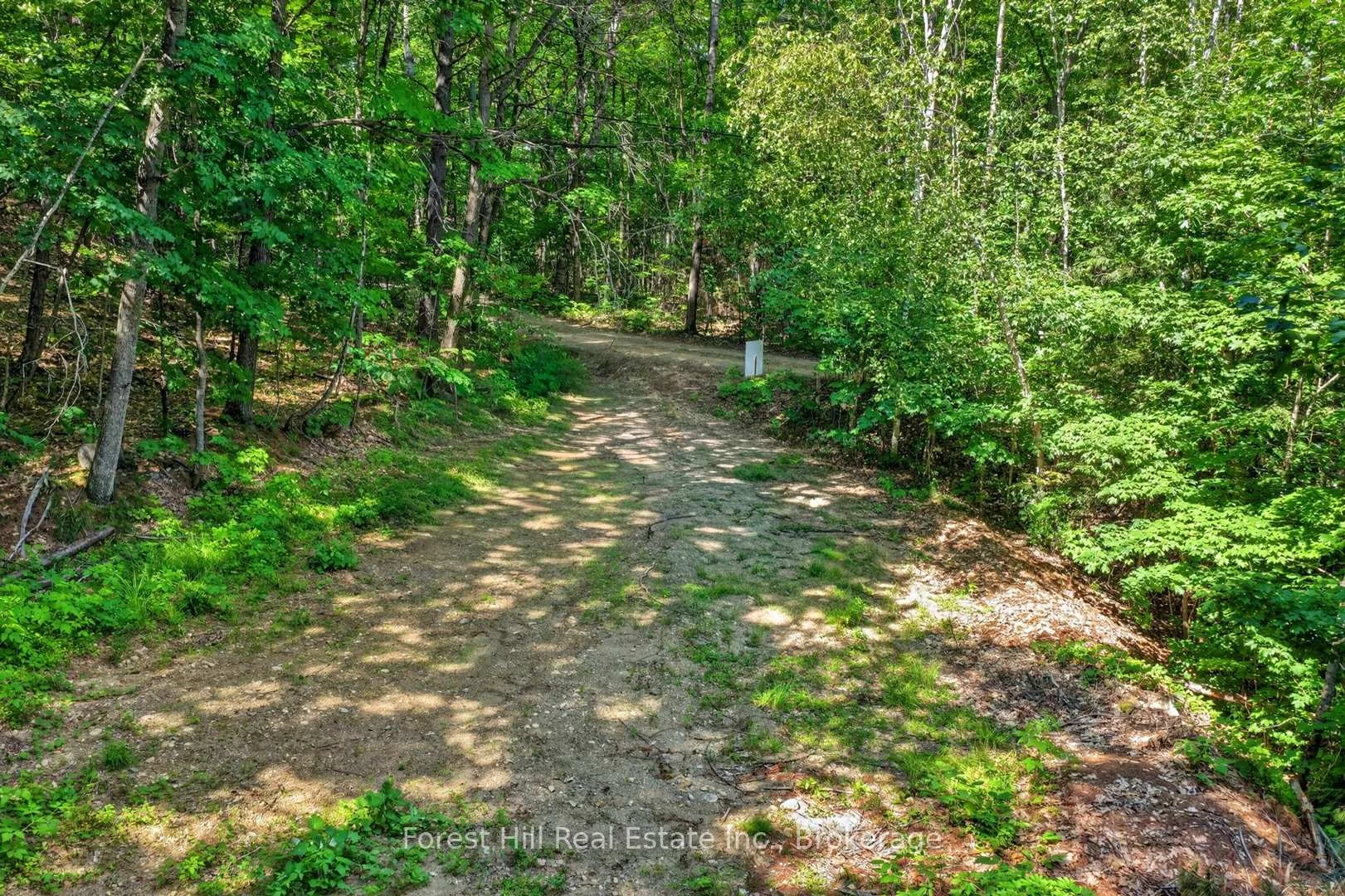 Photo 34 of Bear Lake Road, Algonquin Highlands, Livingstone — HOMEH