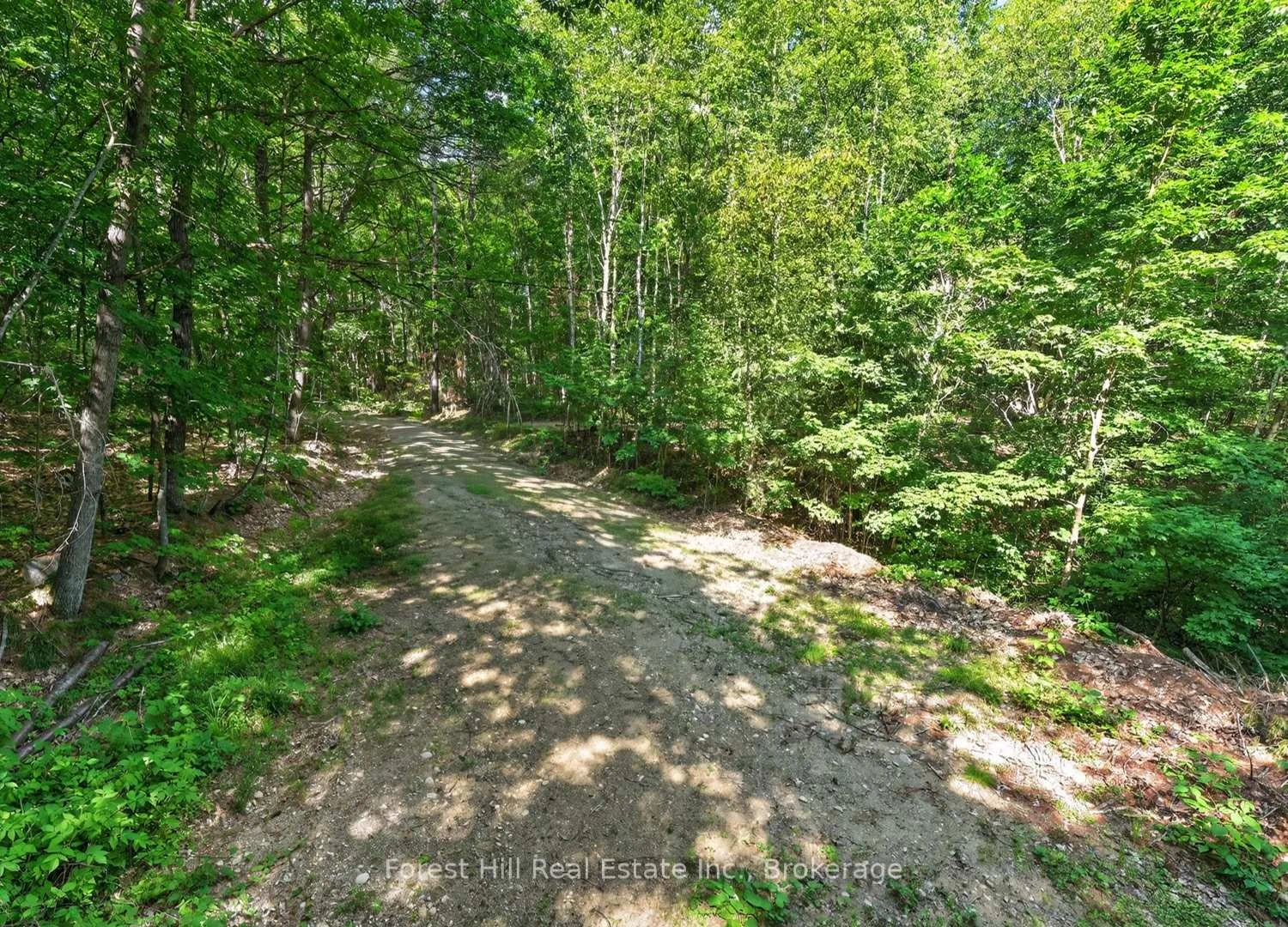 Photo 36 of Bear Lake Road, Algonquin Highlands, Livingstone — HOMEH