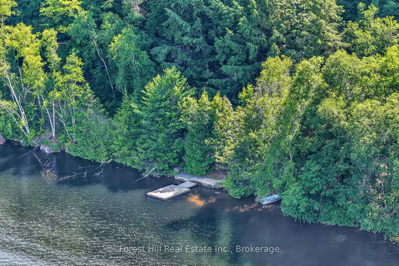 Photo 6 of Bear Lake Road, Algonquin Highlands, Livingstone — HOMEH