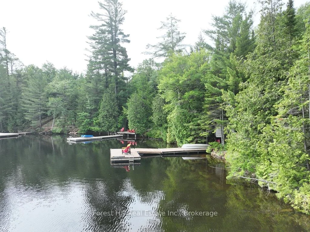 Photo 11 of Bear Lake Road, Algonquin Highlands, Livingstone — HOMEH