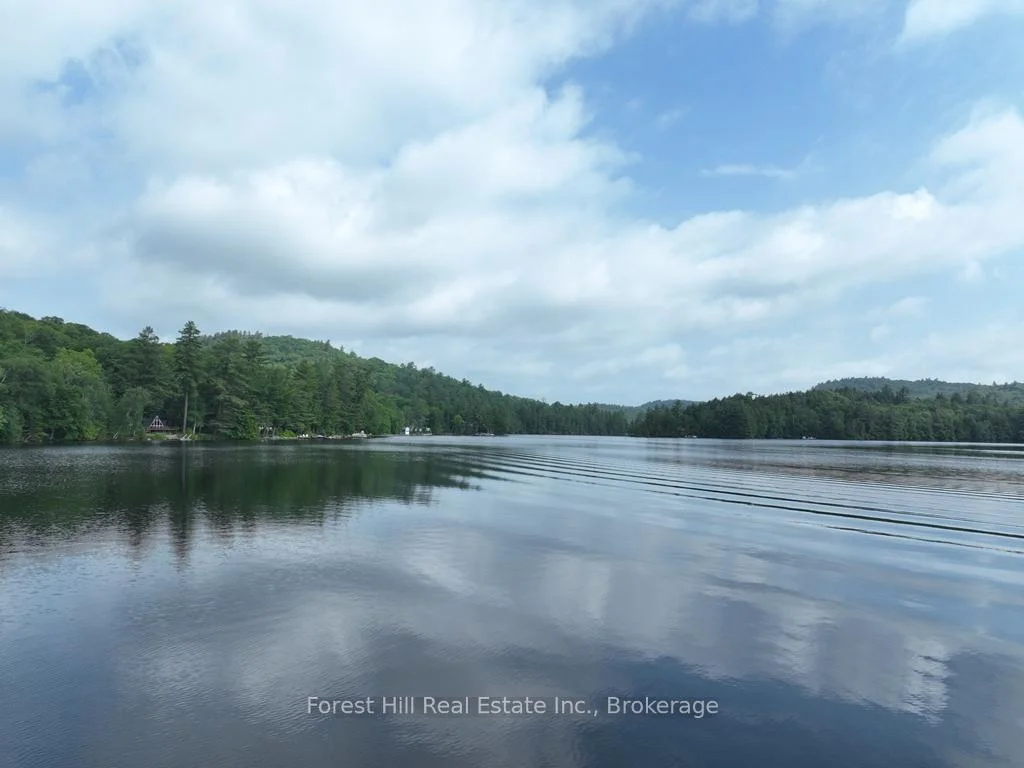 Photo 13 of Bear Lake Road, Algonquin Highlands, Livingstone — HOMEH