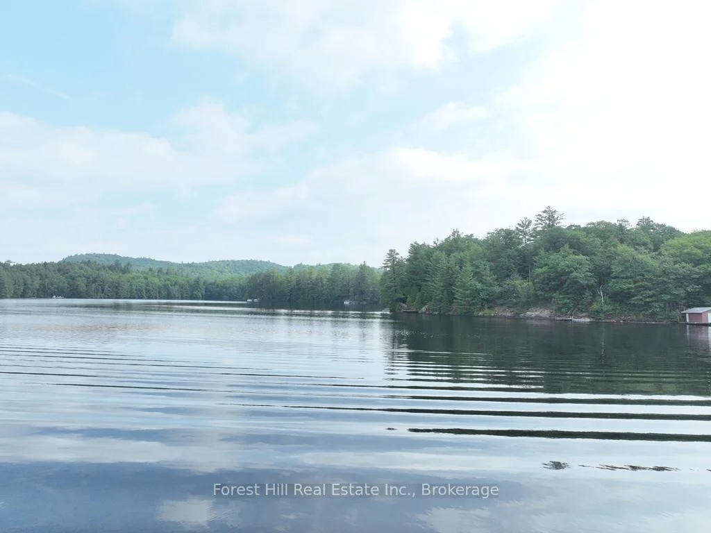 Photo 16 of Bear Lake Road, Algonquin Highlands, Livingstone — HOMEH