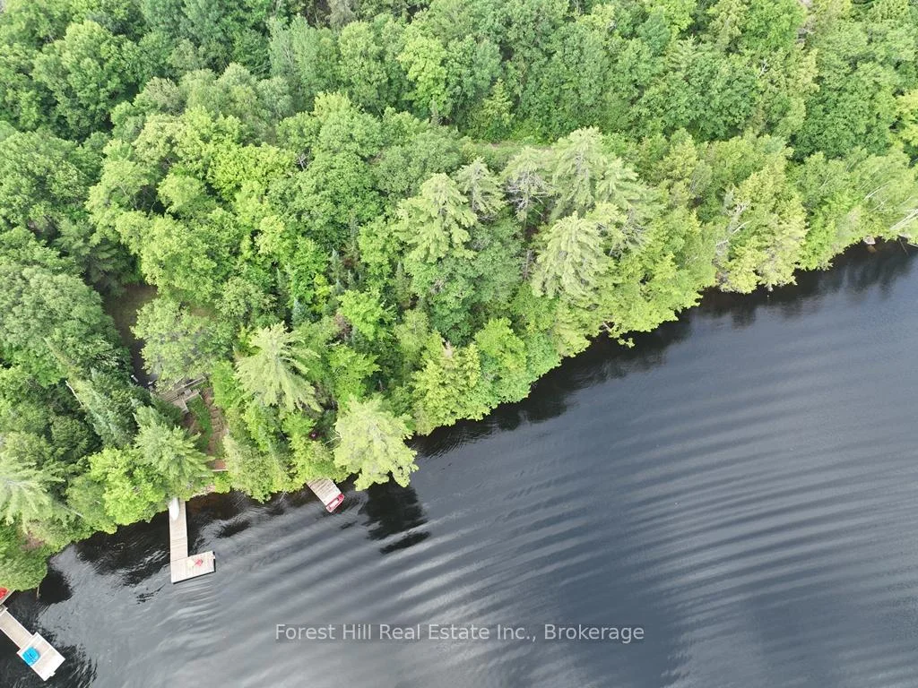 Photo 24 of Bear Lake Road, Algonquin Highlands, Livingstone — HOMEH