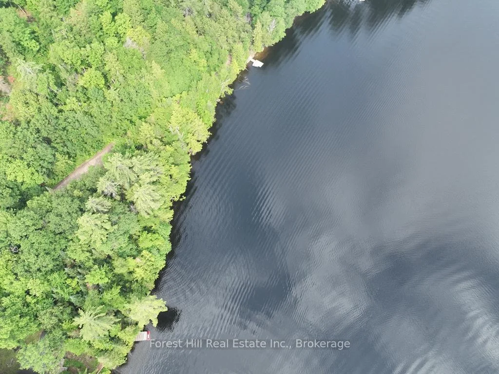 Photo 28 of Bear Lake Road, Algonquin Highlands, Livingstone — HOMEH
