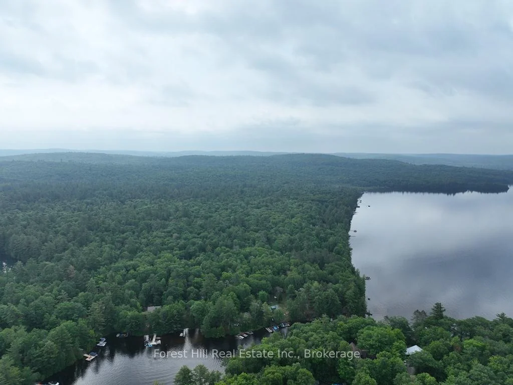 Photo 33 of Bear Lake Road, Algonquin Highlands, Livingstone — HOMEH