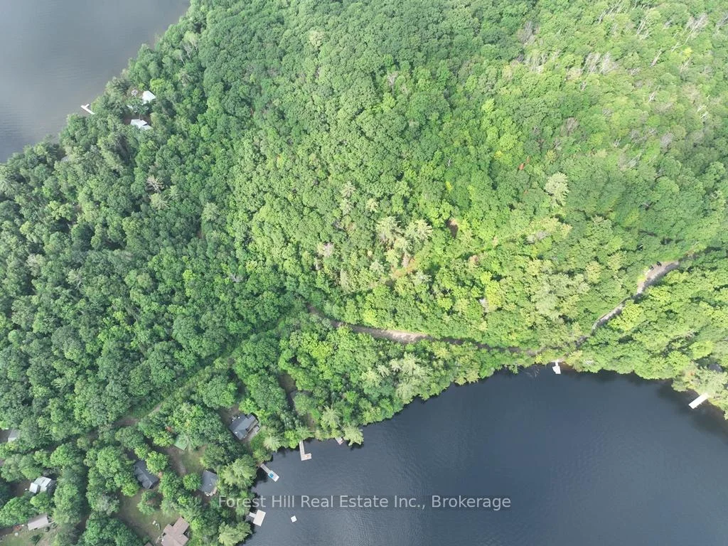 Photo 40 of Bear Lake Road, Algonquin Highlands, Livingstone — HOMEH