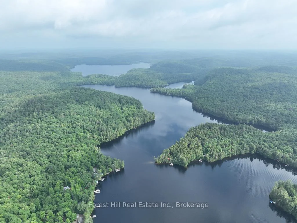 Photo 42 of Bear Lake Road, Algonquin Highlands, Livingstone — HOMEH